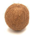 coconut