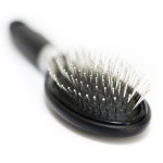 hairbrush